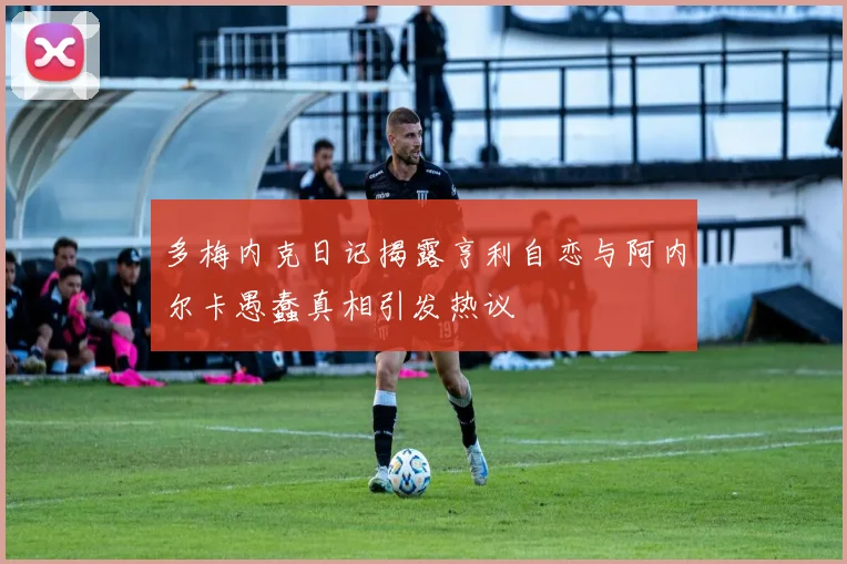 多梅内克日记揭露亨利自恋与阿内尔卡愚蠢真相引发热议