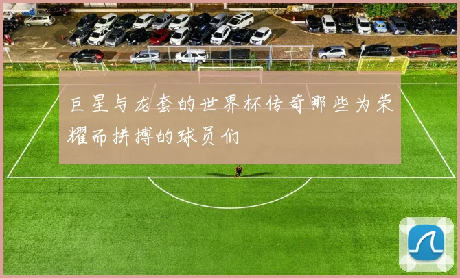 巨星与龙套的世界杯传奇那些为荣耀而拼搏的球员们