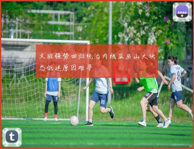 文班强势回归统治内线亚历山大状态低迷原因难寻